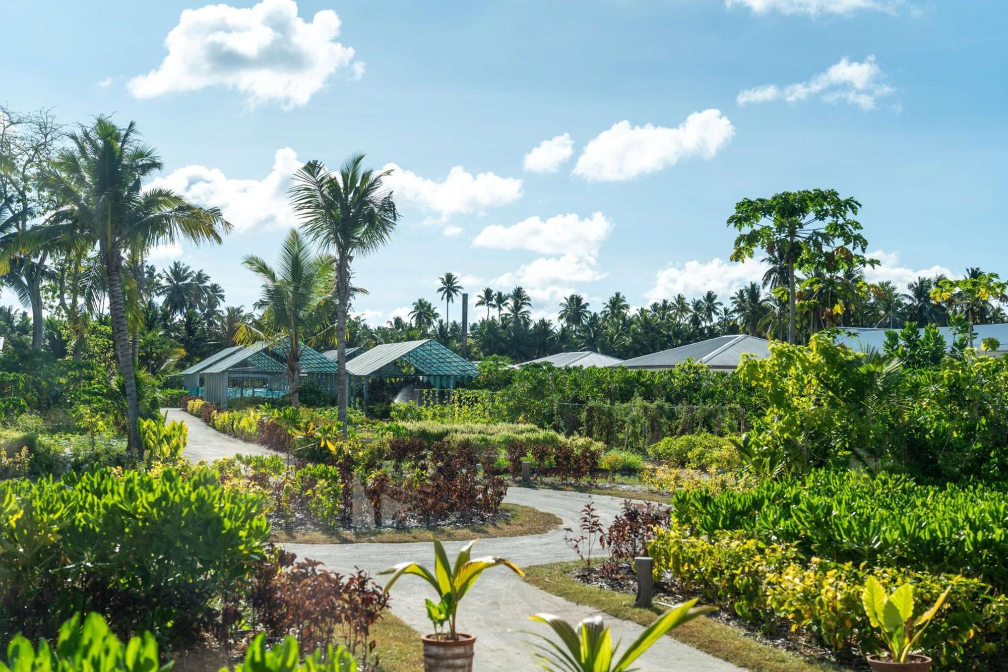 Waldorf Astoria Seychelles Platte Island Otel Dış mekan fotoğraf